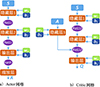 Thumbnail: 图9 Refer to the following caption and surrounding text.