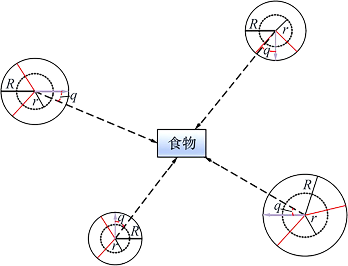 图2 Refer to the following caption and surrounding text.