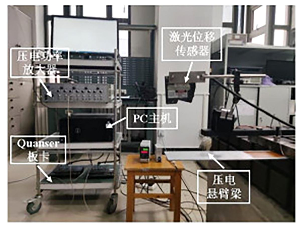 图5 Refer to the following caption and surrounding text.