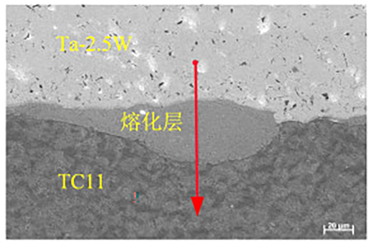 图5 Refer to the following caption and surrounding text.