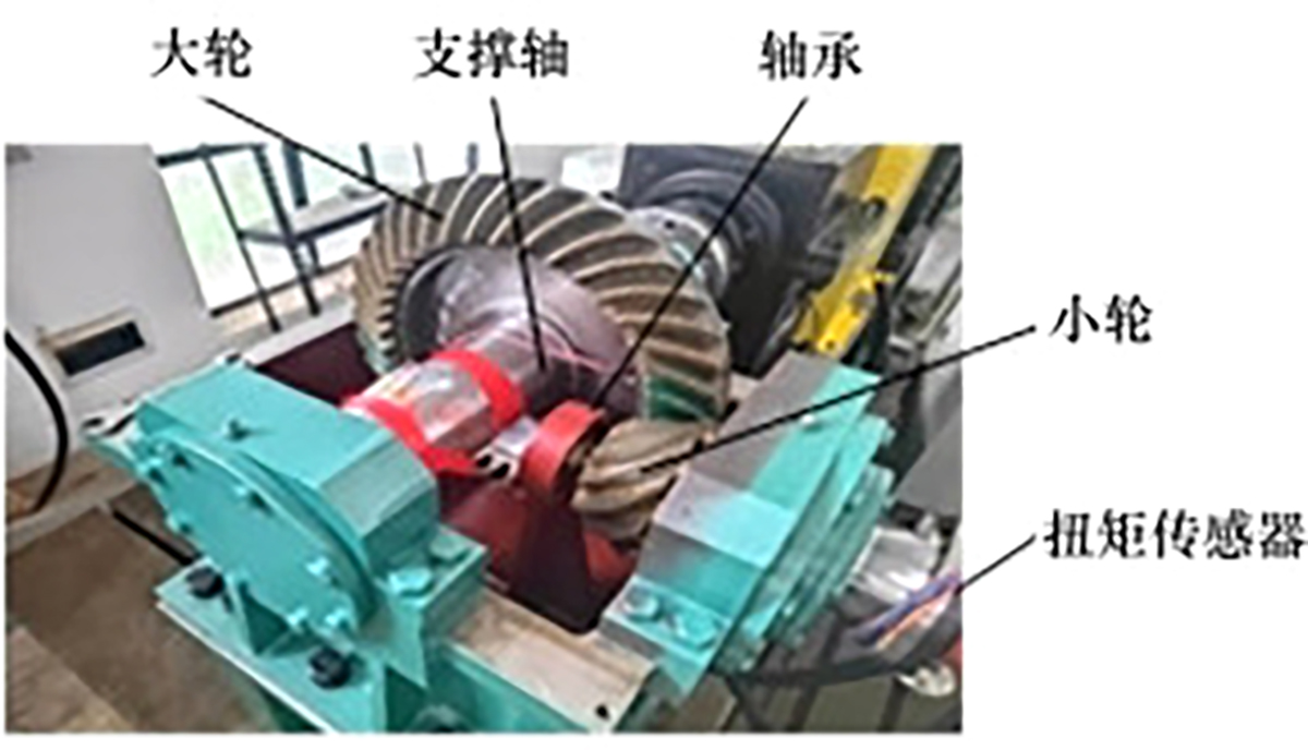 图13 Refer to the following caption and surrounding text.
