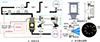 Thumbnail: 图1 Refer to the following caption and surrounding text.