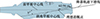Thumbnail: 图13 Refer to the following caption and surrounding text.