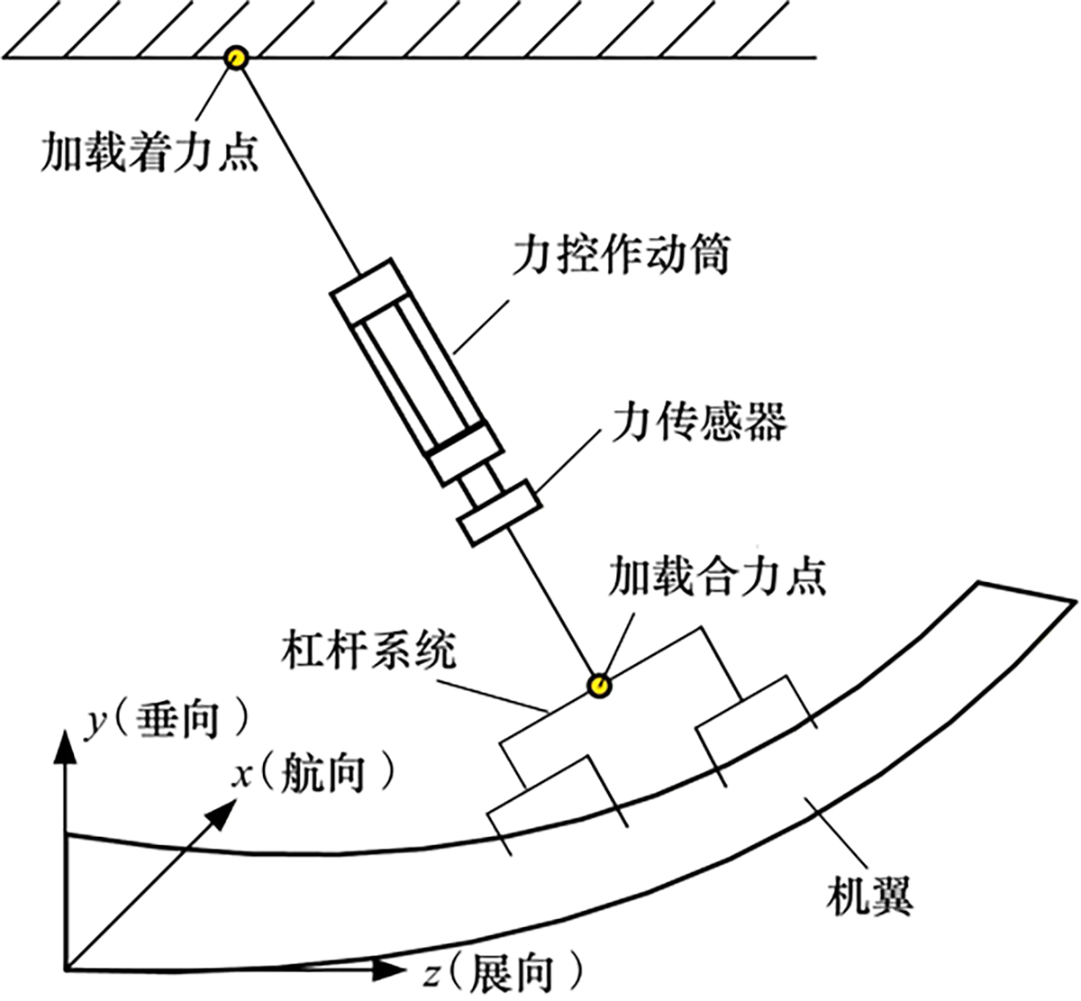 图3 Refer to the following caption and surrounding text.