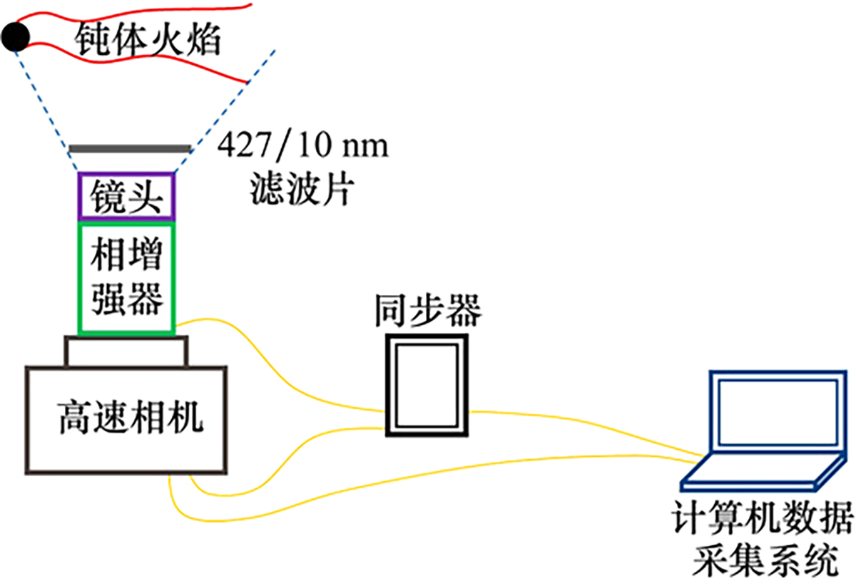 图3 Refer to the following caption and surrounding text.
