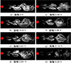 Thumbnail: 图7 Refer to the following caption and surrounding text.