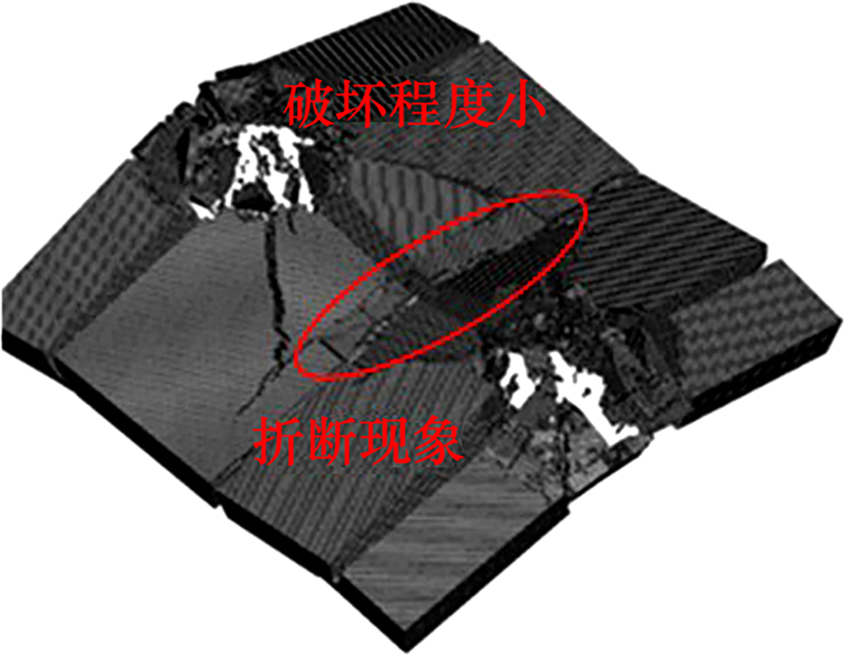 图14 Refer to the following caption and surrounding text.