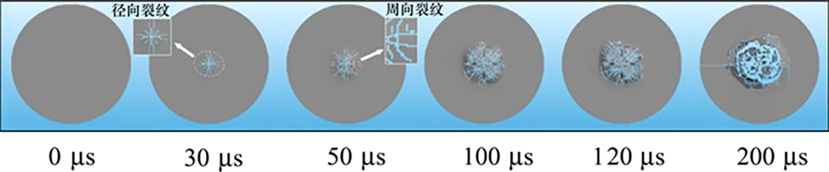 图4 Refer to the following caption and surrounding text.