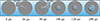 Thumbnail: 图4 Refer to the following caption and surrounding text.