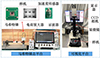 Thumbnail: 图2 Refer to the following caption and surrounding text.