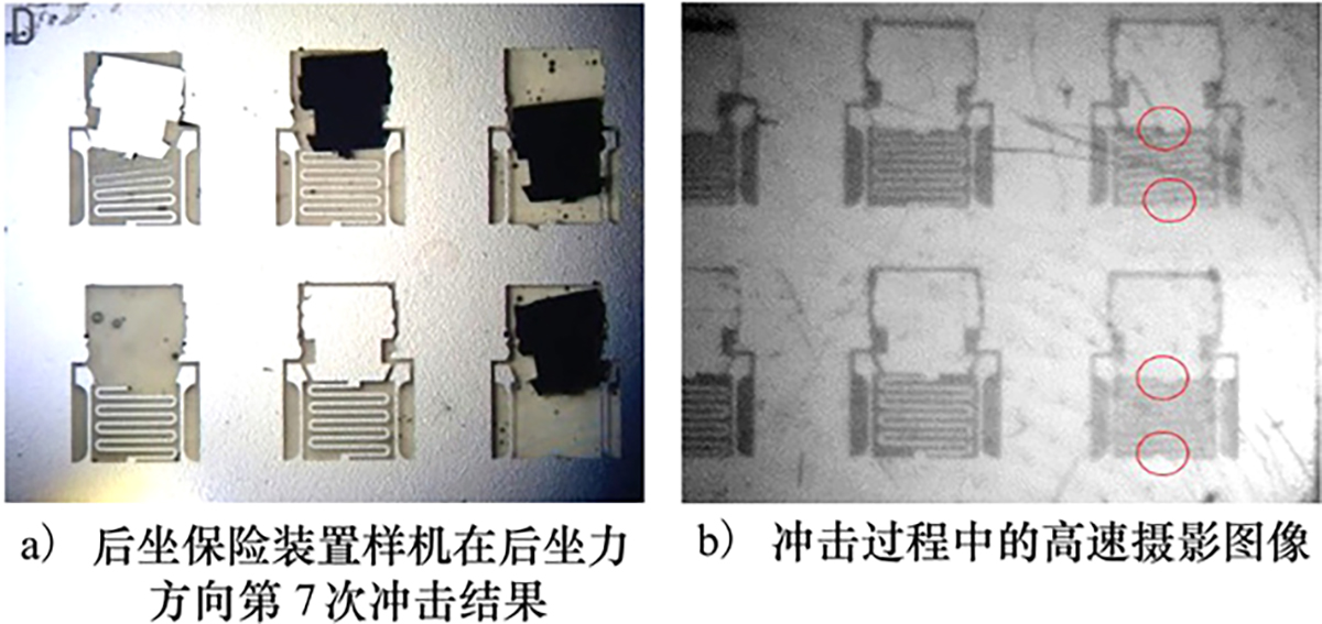 图3 Refer to the following caption and surrounding text.