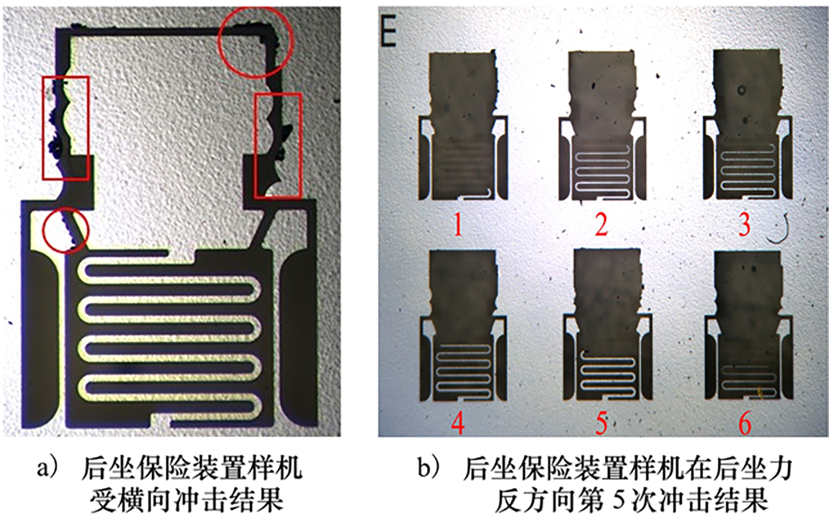 图4 Refer to the following caption and surrounding text.