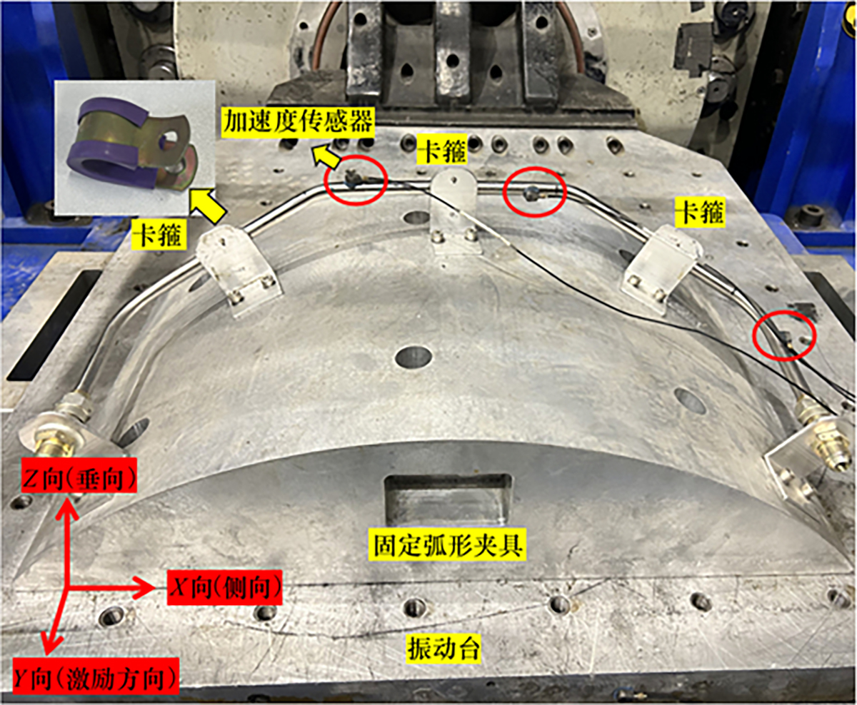 图6 Refer to the following caption and surrounding text.