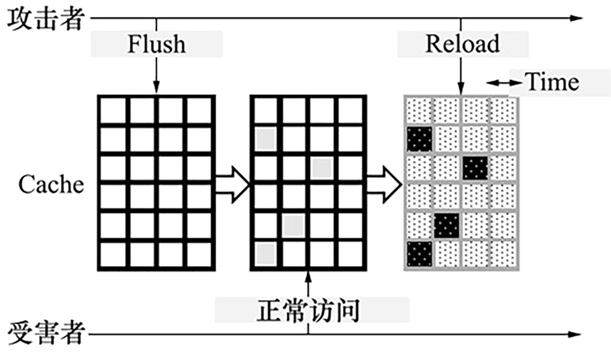 图4 Refer to the following caption and surrounding text.