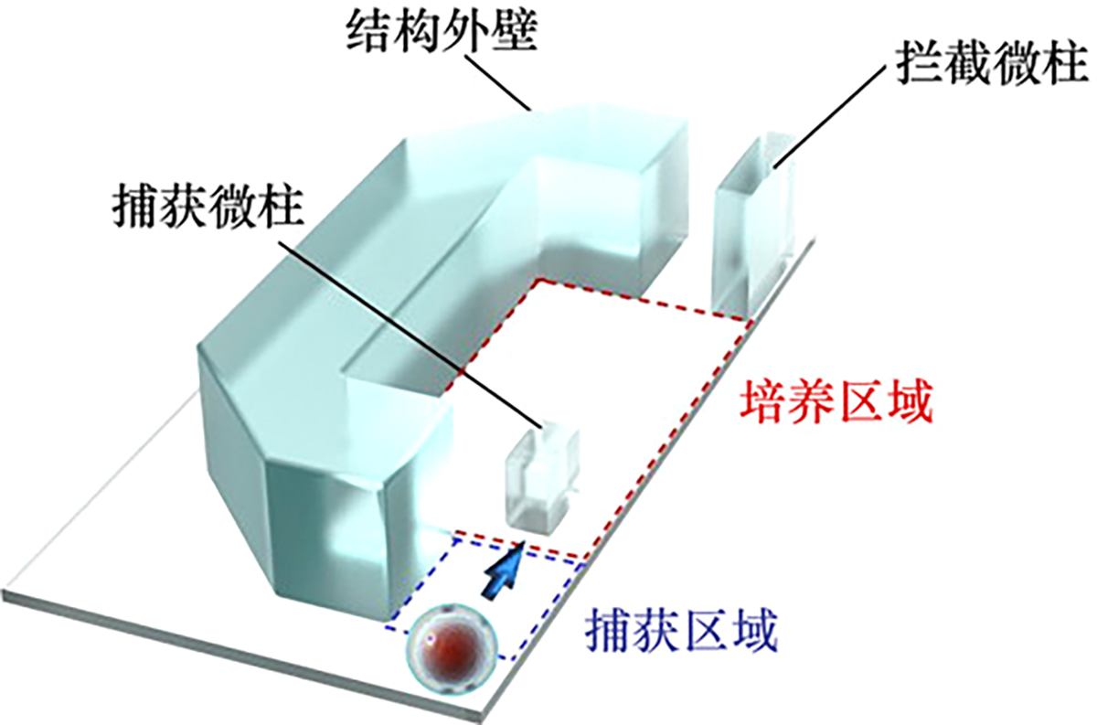 图1 Refer to the following caption and surrounding text.