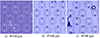 Thumbnail: 图11 Refer to the following caption and surrounding text.