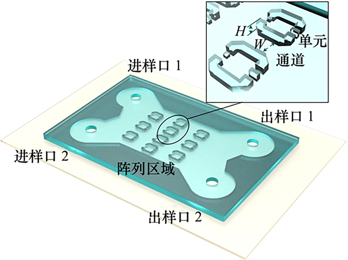 图2 Refer to the following caption and surrounding text.