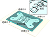 Thumbnail: 图2 Refer to the following caption and surrounding text.