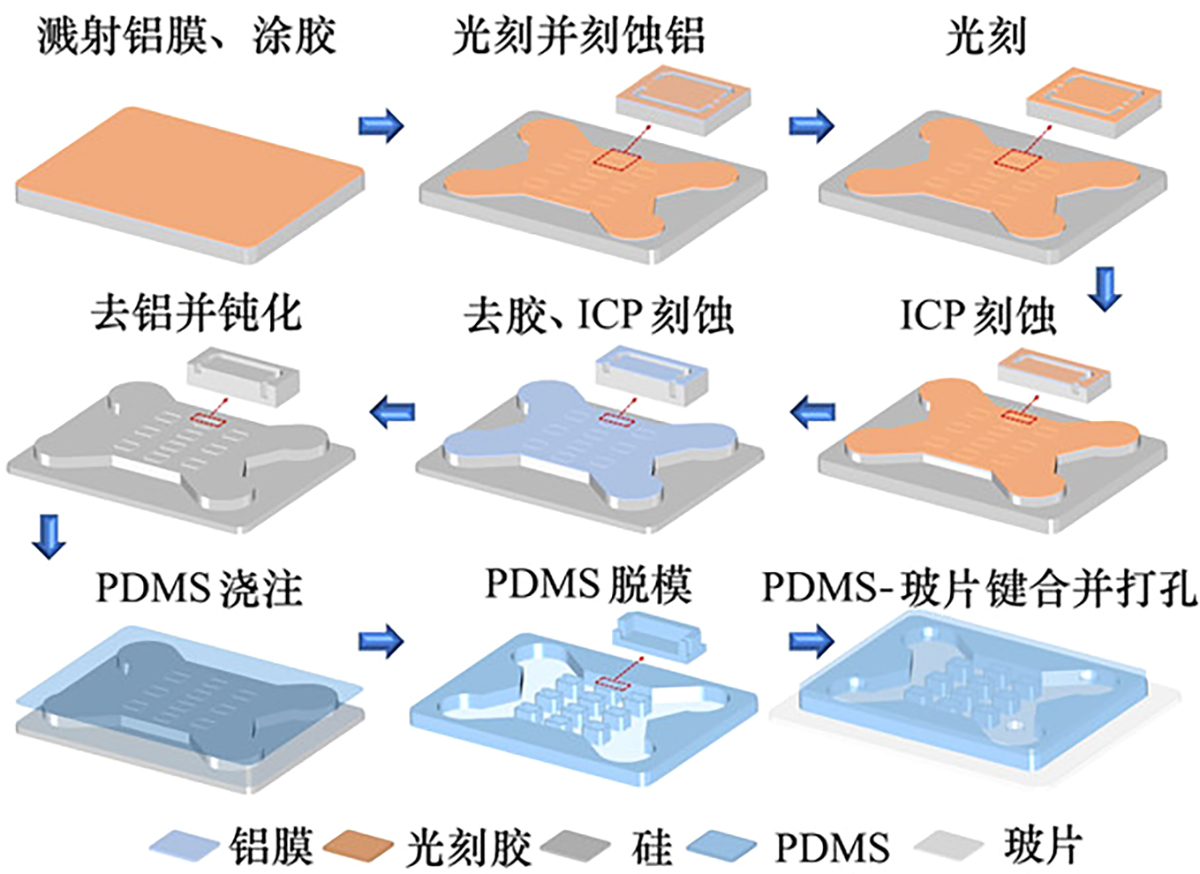 图3 Refer to the following caption and surrounding text.