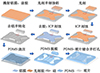 Thumbnail: 图3 Refer to the following caption and surrounding text.