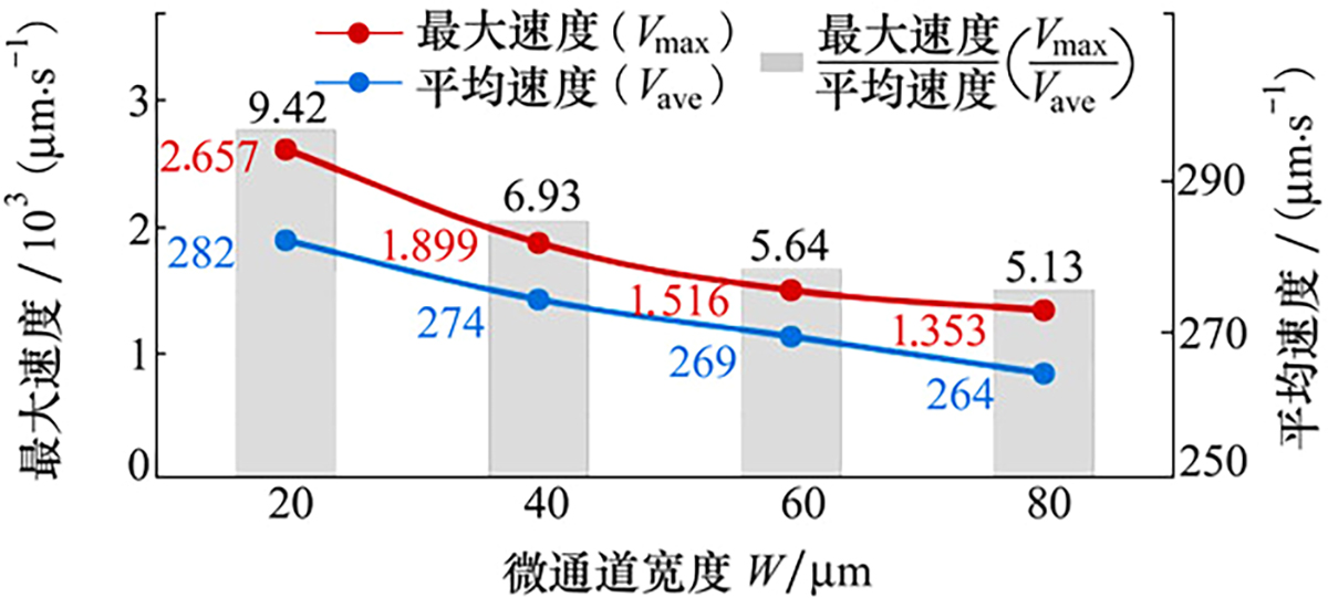 图5 Refer to the following caption and surrounding text.
