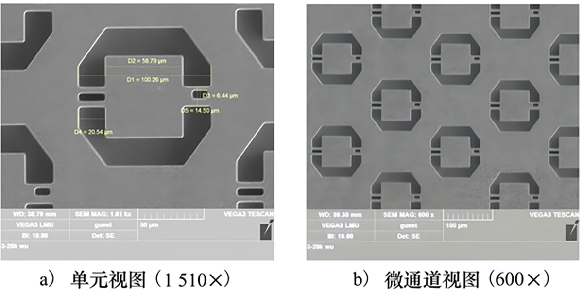 图7 Refer to the following caption and surrounding text.